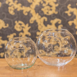Vase aquarium