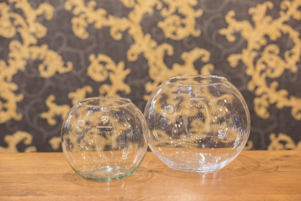 Vase aquarium
