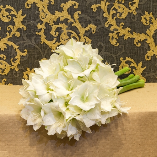 Focus-Amaryllis-blanc-bouquet-SD