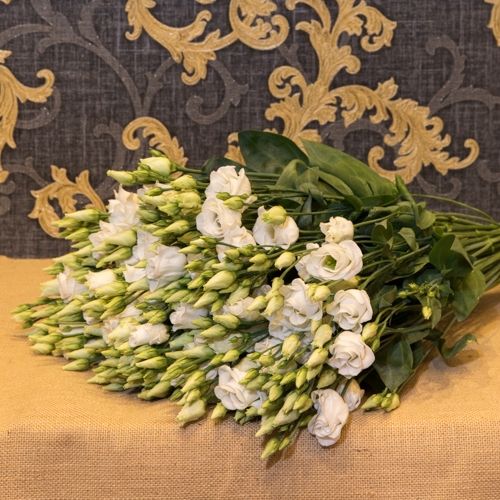 Focus-Bouquet-Lisanthus-blanc-SD