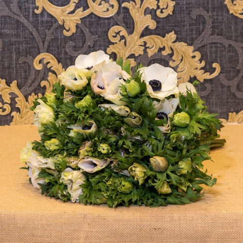 Focus-Bouquet-anemones-blanches-SD