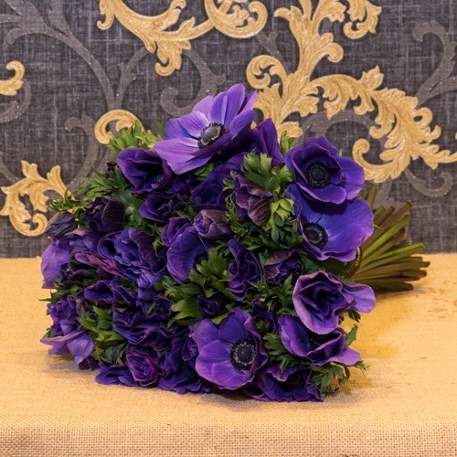 Focus-Bouquet-anemones-violet-SD