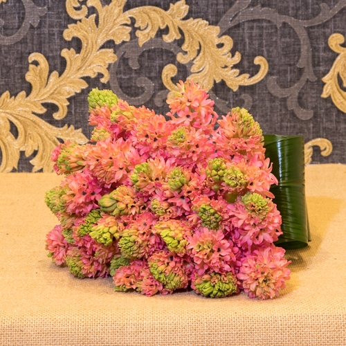 Focus-Bouquet-jacinthes-rose_SD
