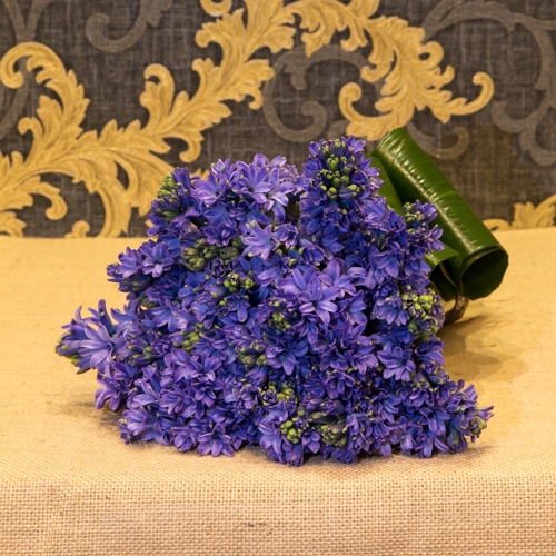 Focus-Bouquet-jacinthes-violet_SD