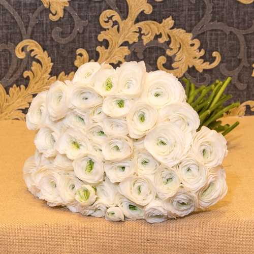 Focus-Bouquet-renoncules-blanc-SD