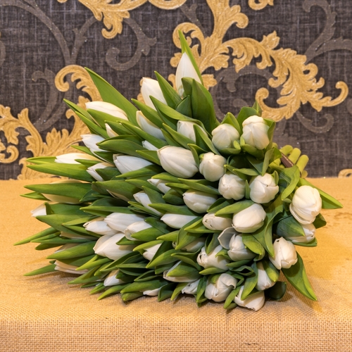 Focus-Bouquet-tulipes-blanches-SD