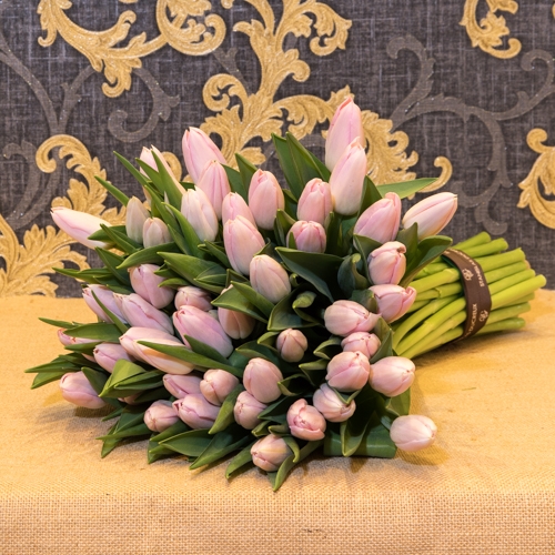 Focus-Bouquet-tulipes-rose-SD