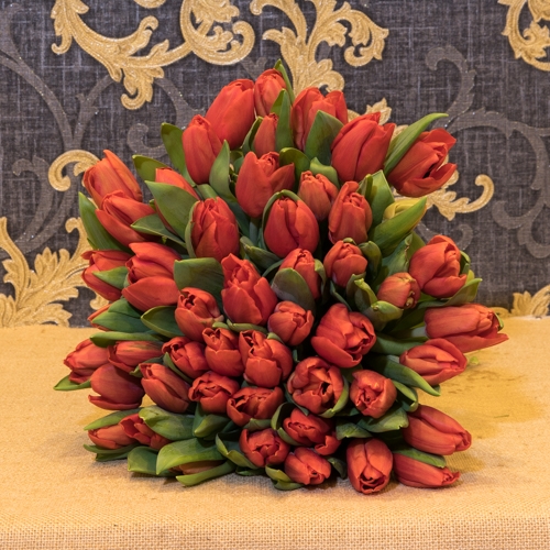 Focus-Bouquet-tulipes-rouges-SD