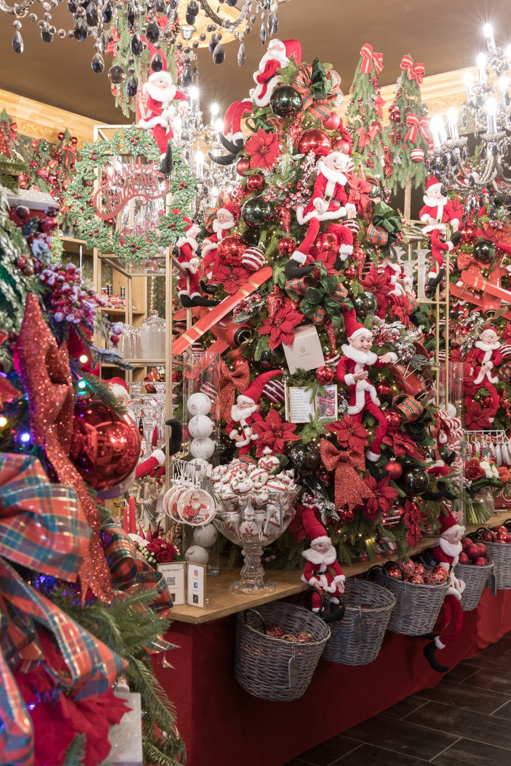 fleuriste-menton-monaco-06