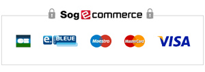 paiement sécurisé en ligne fleuriste