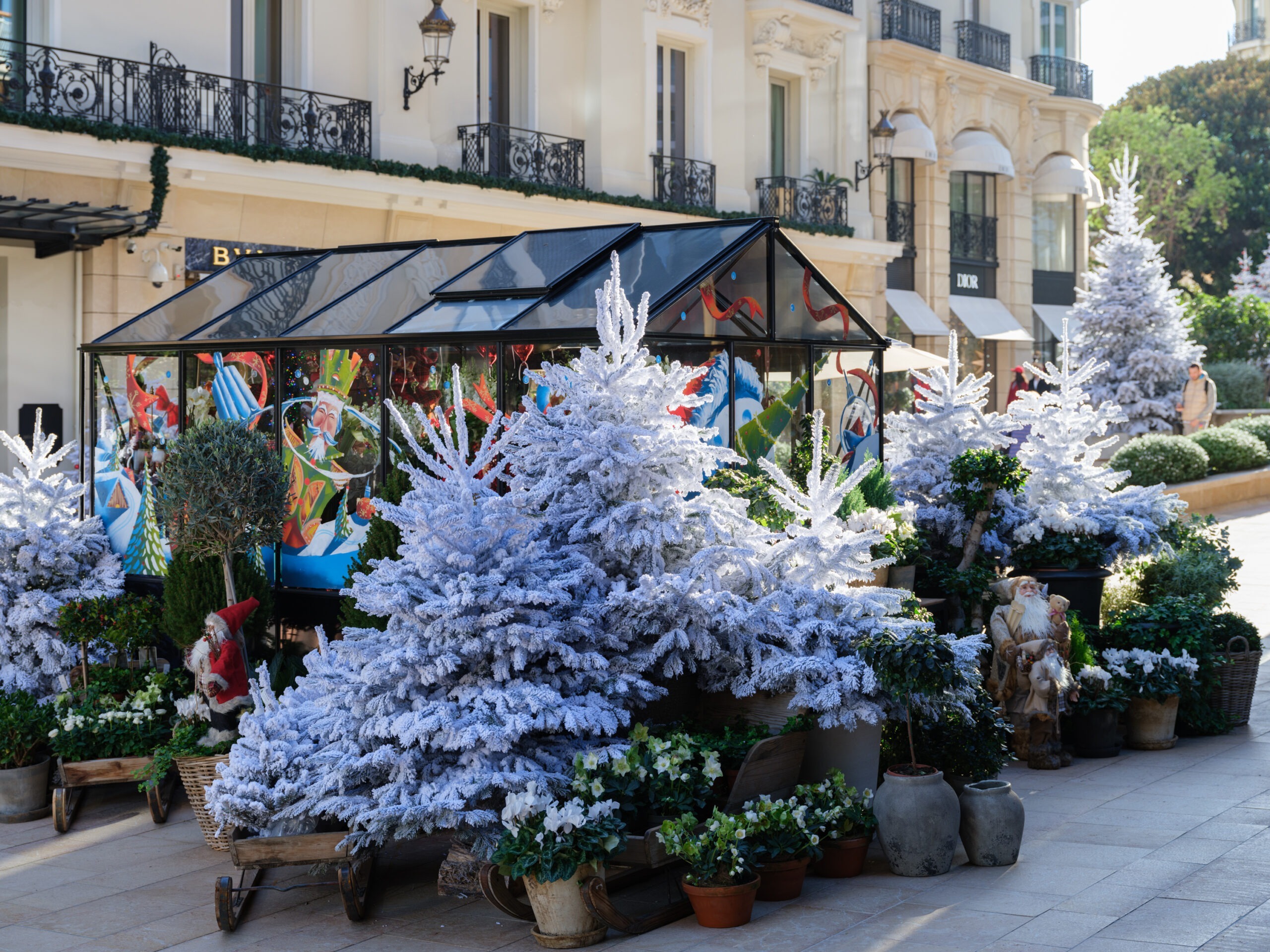 fleuriste serre monaco