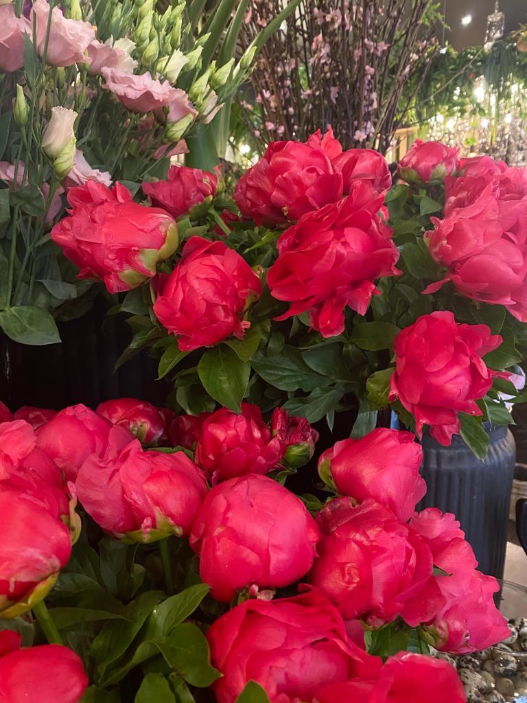fleuriste sur montecarlo monaco